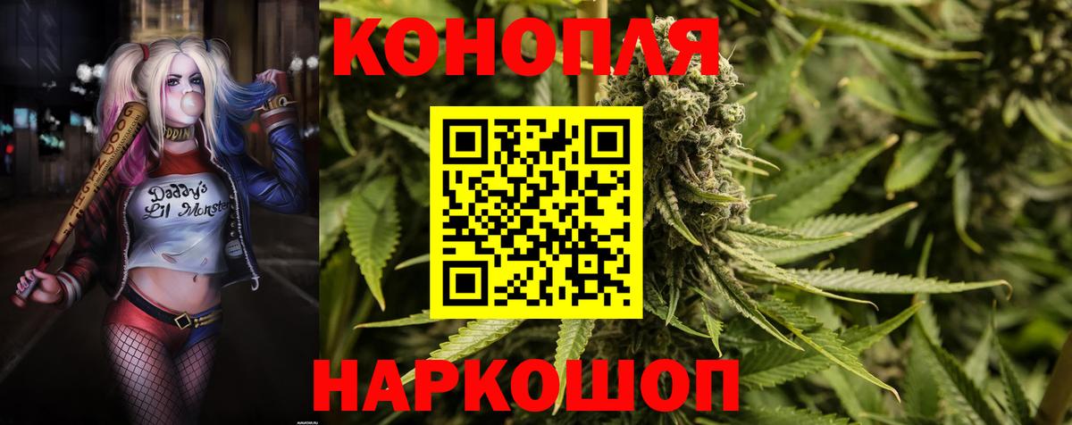 Камышин  Каннабис OG Kush  Канабис Amnesia  Вход с VPN 